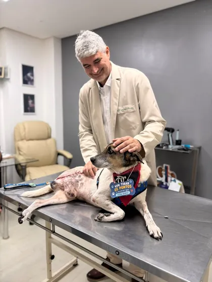 Veterinário da Clínica Bixo's em consulta, cuidando de um cão na mesa de atendimento