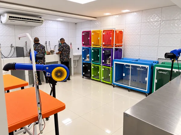 Espaço de banho e tosa da Clínica Bixo's com equipamentos profissionais